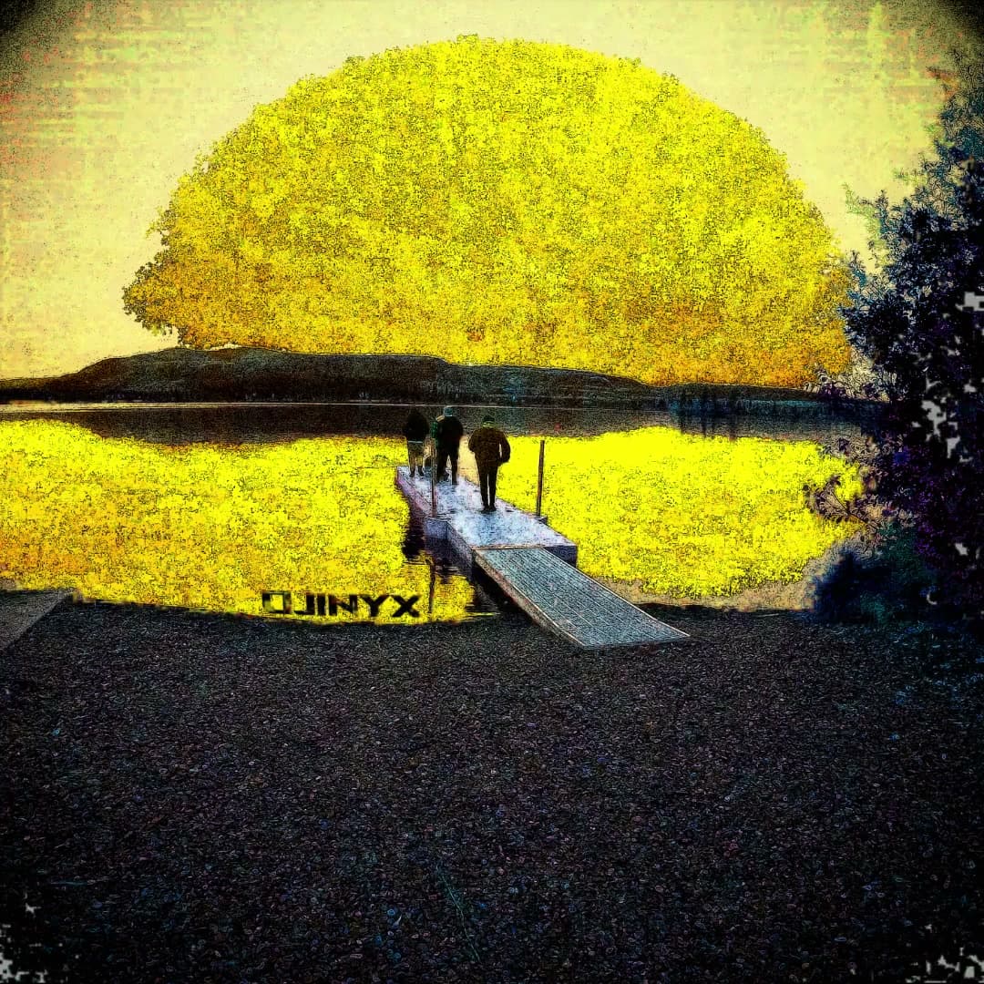 OJINYX cover art
